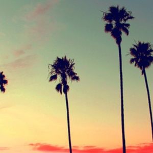 Meet your Posher, Stanley